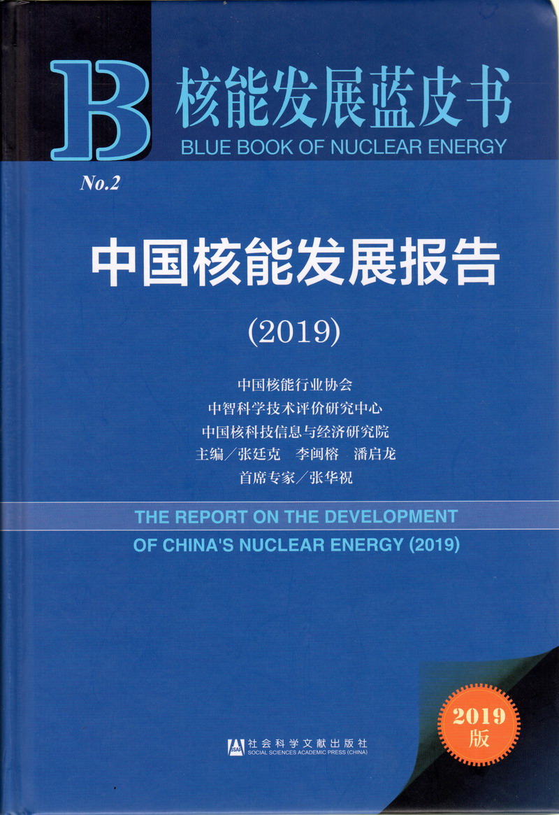 黄片啊不要操了好爽啊啊啊啊啊啊啊啊啊啊啊中国核能发展报告（2019）